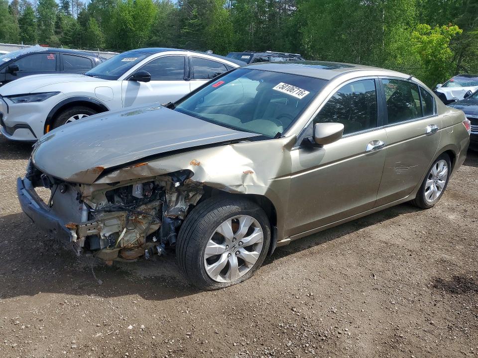 2010 Honda Accord მანქანა იყიდება აუქციონზე, vin: 5KBCP3F82AB501127, აუქციონის ნომერი: 50106716