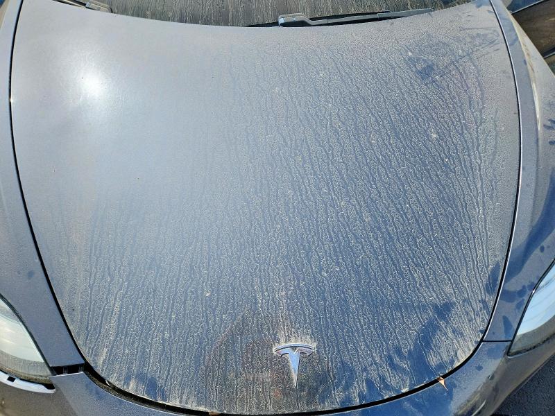 Aukcja sprzedaży 2019 Tesla Model 3, vin: 5YJ3E1EA6KF428293, numer aukcji: 55783966