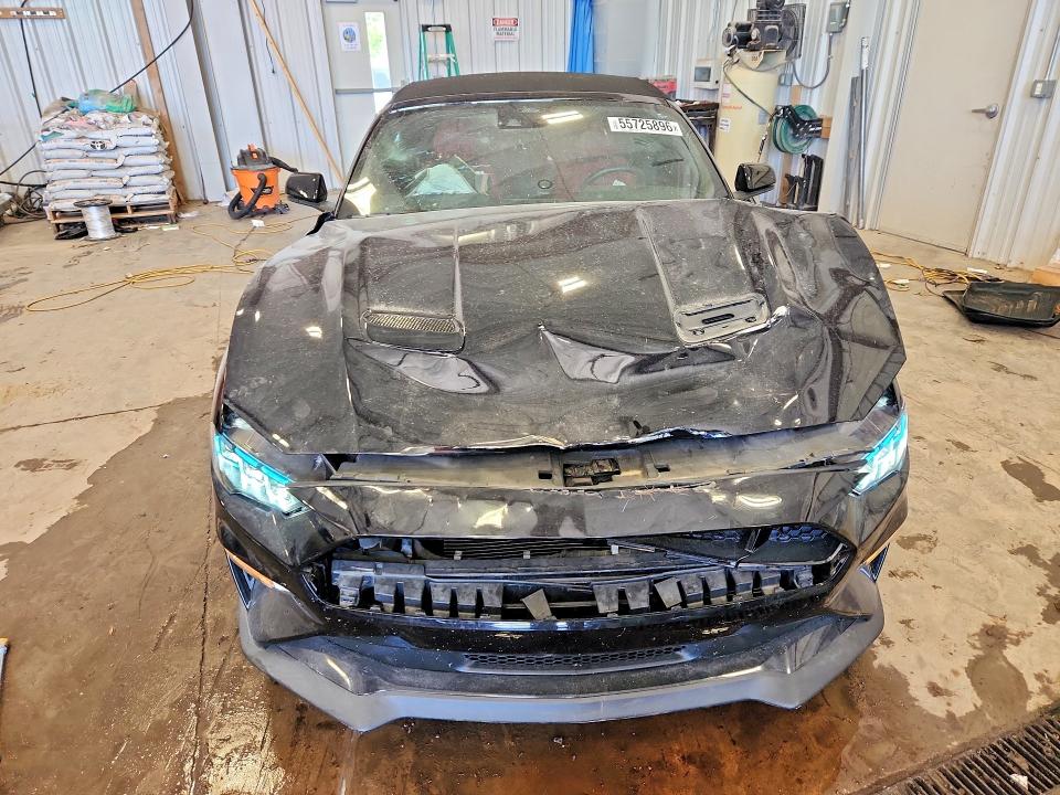 Продаж на аукціоні авто 2019 Ford Mustang, vin: 1FATP8FFXK5185592, номер лоту: 55725896