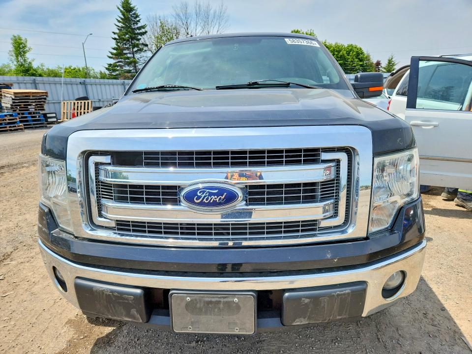 58357366 :رقم المزاد ، 1FTFX1EF0DFC00906 vin ، 2013 Ford F150 مزاد بيع