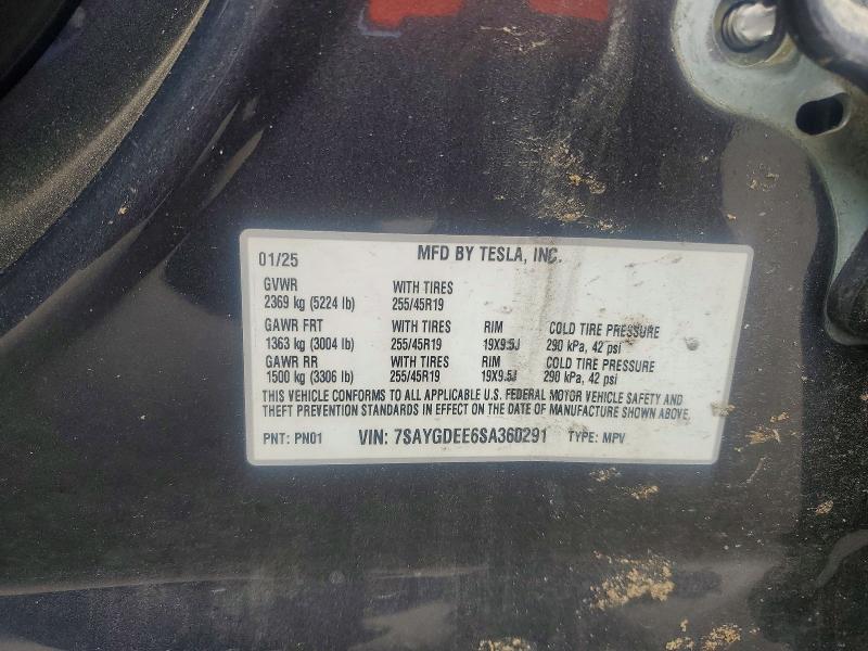 Продаж на аукціоні авто 2025 Tesla Model Y, vin: 7SAYGDEE6SA360291, номер лоту: 55505446