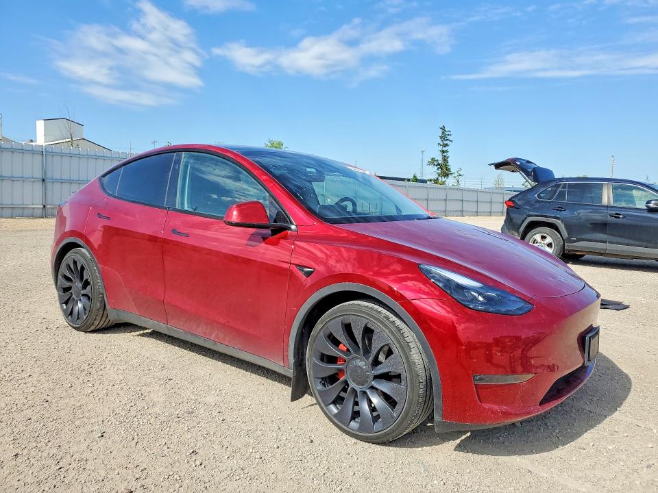 Продаж на аукціоні авто 2024 Tesla Model Y, vin: 7SAYGDEF4RA284248, номер лоту: 54344956