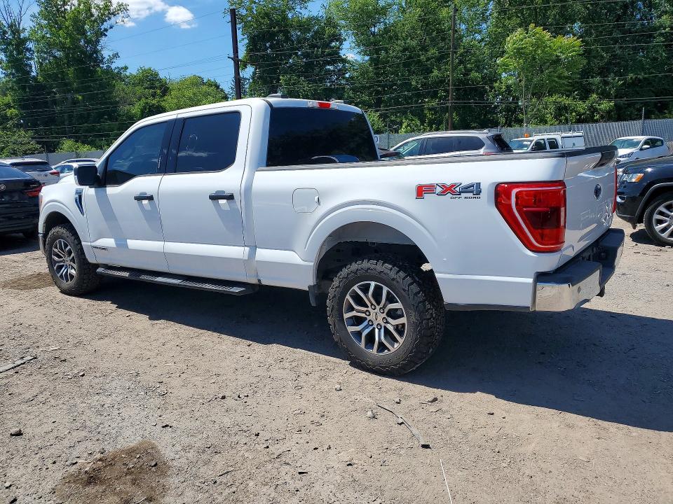 57752156 :رقم المزاد ، 1FTFW1E13MFC73503 vin ، 2021 Ford F150 مزاد بيع