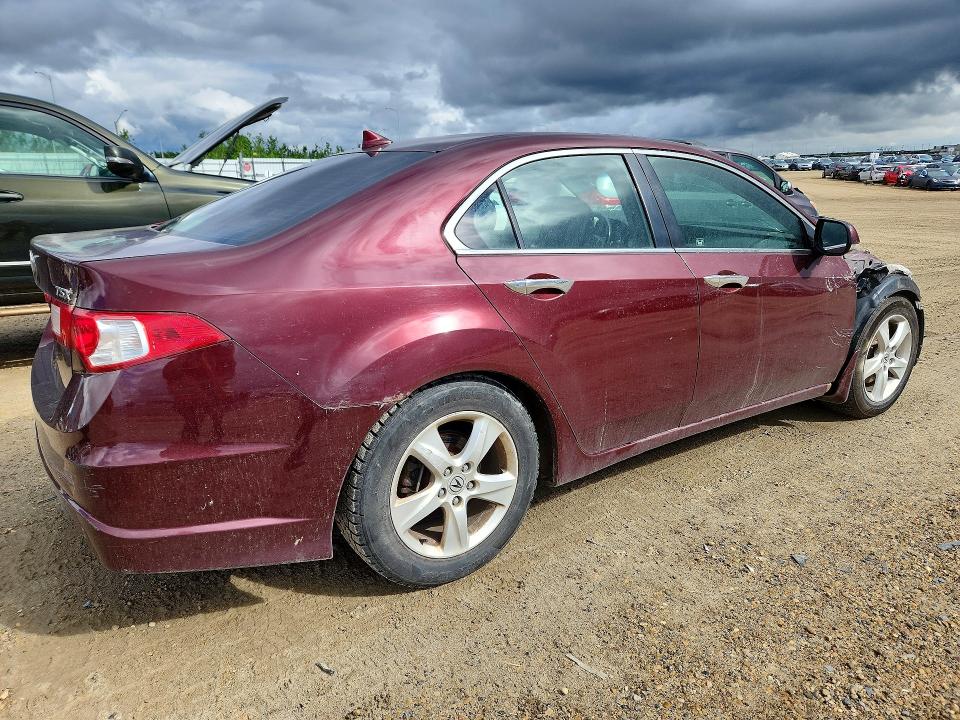 Продажа на аукционе авто 2009 Acura Tsx, vin: JH4CU26669C800191, номер лота: 57892966
