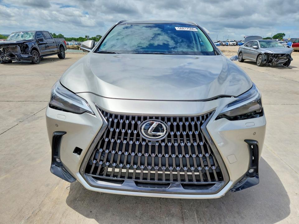 Продаж на аукціоні авто 2022 Lexus Nx, vin: JTJHKCEZ5N2005449, номер лоту: 56817506