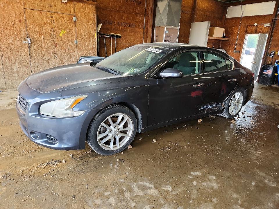 Продаж на аукціоні авто 2010 Nissan Maxima, vin: 1N4AA5AP3AC808567, номер лоту: 59138406