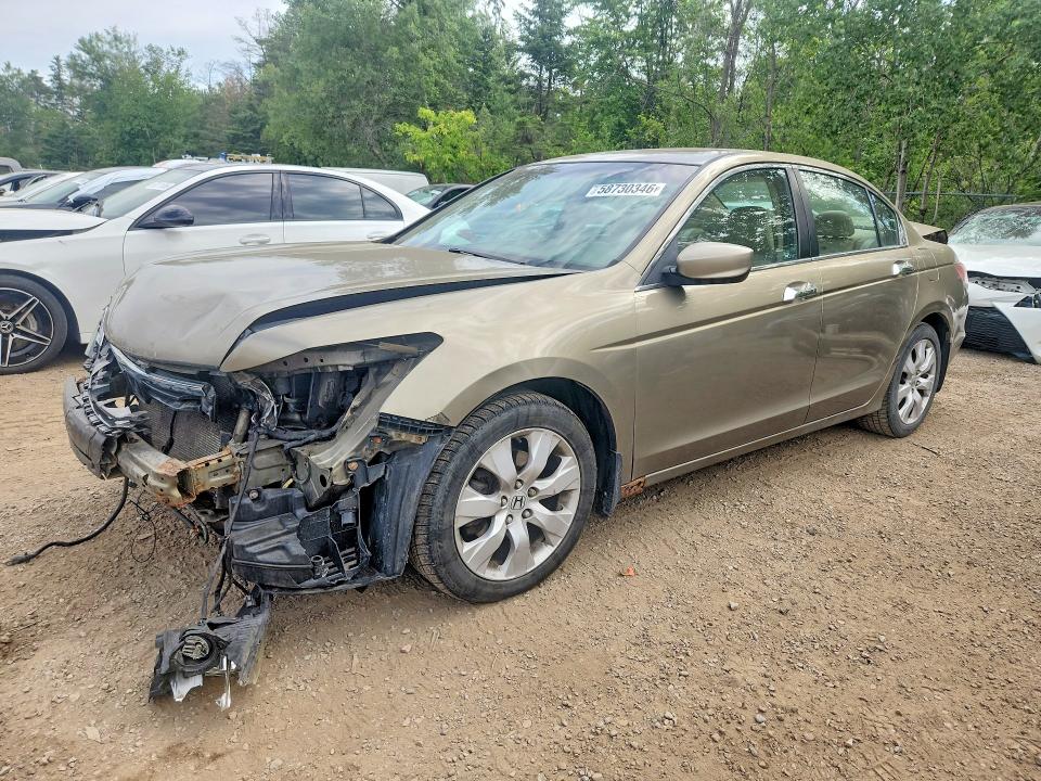 58730346 :رقم المزاد ، 1HGCP3F82AA800691 vin ، 2010 Honda Accord مزاد بيع