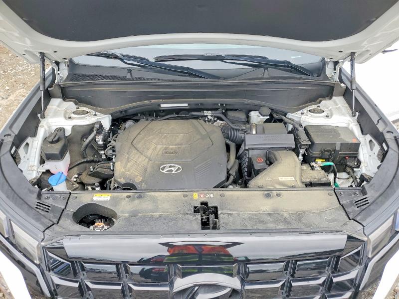 Aukcja sprzedaży 2024 Hyundai Palisade, vin: KM8R44GE5RU770779, numer aukcji: 55159226