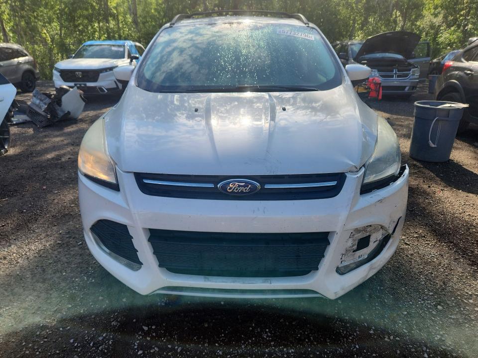 Продаж на аукціоні авто 2013 Ford Escape, vin: 1FMCU0GX5DUD26648, номер лоту: 57732796