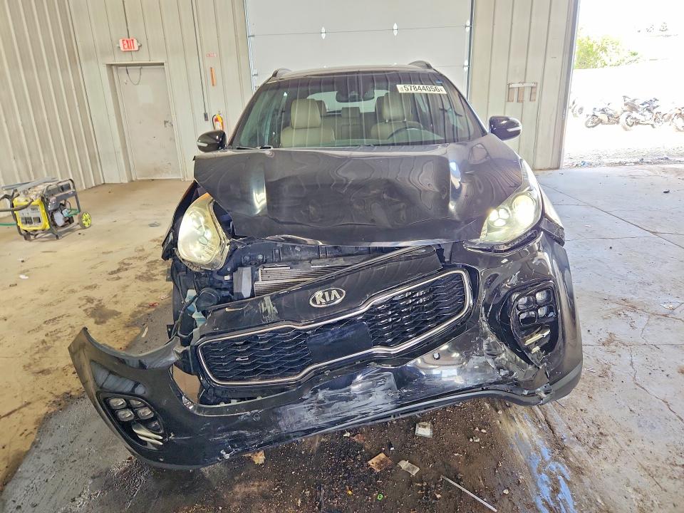 Продаж на аукціоні авто 2018 Kia Sportage, vin: KNDPRCA61J7417256, номер лоту: 57844056