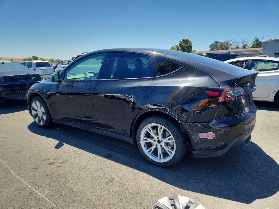 55674156 :رقم المزاد ، 5YJYGDEE3MF196078 vin ، 2021 Tesla Model Y مزاد بيع
