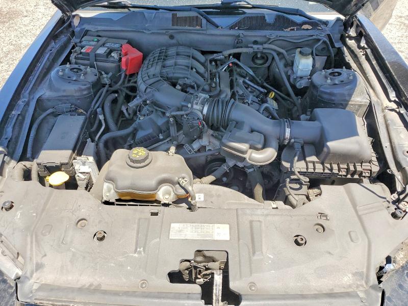 55636786 :رقم المزاد ، 1ZVBP8AM8D5282401 vin ، 2013 Ford Mustang مزاد بيع