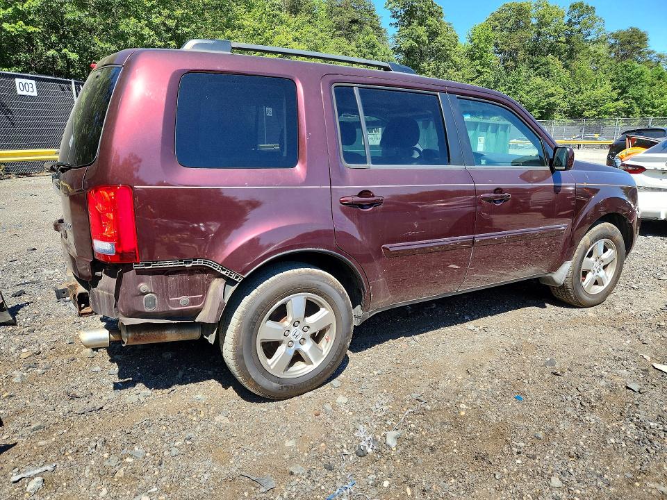 Продаж на аукціоні авто 2009 Honda Pilot, vin: 5FNYF48589B028068, номер лоту: 55982246