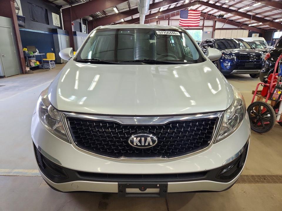 Продаж на аукціоні авто 2016 Kia Sportage, vin: KNDPBCAC8G7832304, номер лоту: 57156446
