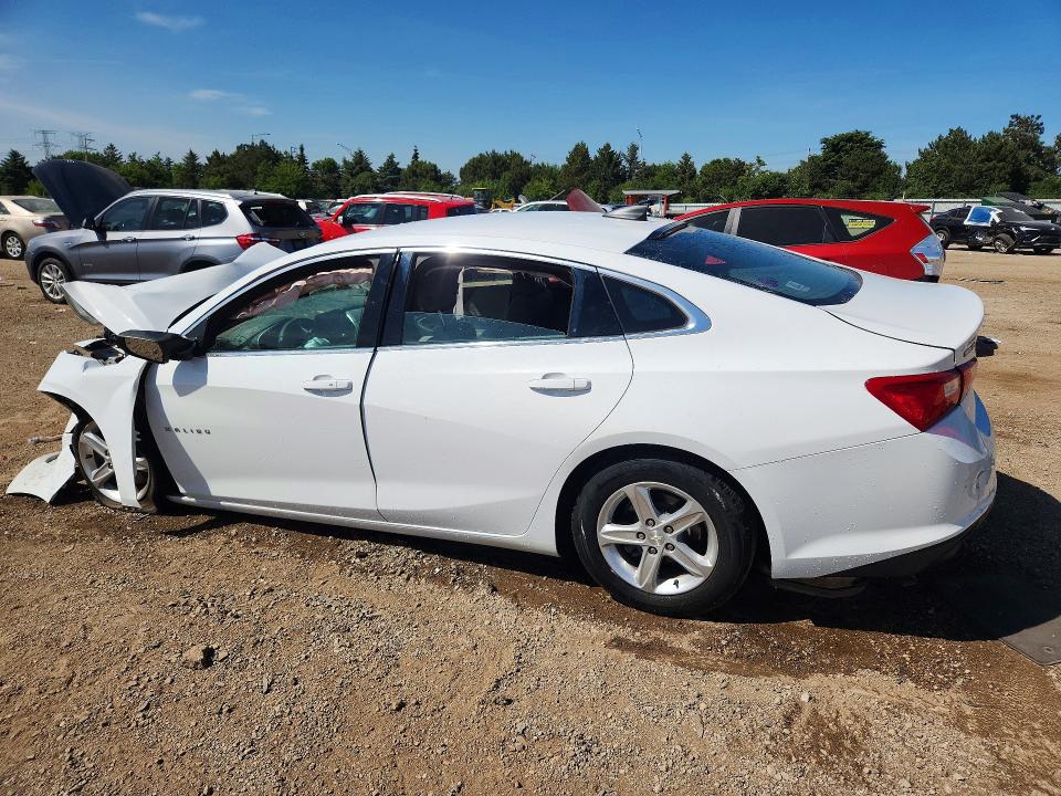 Продажа на аукционе авто 2019 Chevrolet Malibu, vin: 1G1ZB5ST4KF146075, номер лота: 55567646