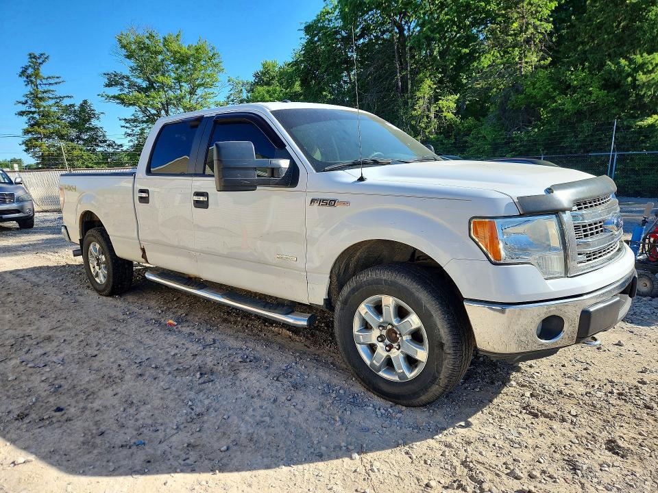 Продажа на аукционе авто 2014 Ford F150, vin: 1FTFW1ET8EFB96677, номер лота: 55345426