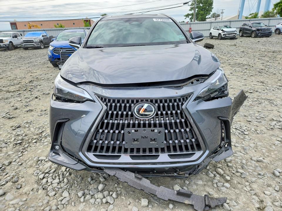 Продаж на аукціоні авто 2025 Lexus Nx350, vin: 2T2GKCEZXSC045338, номер лоту: 57733346
