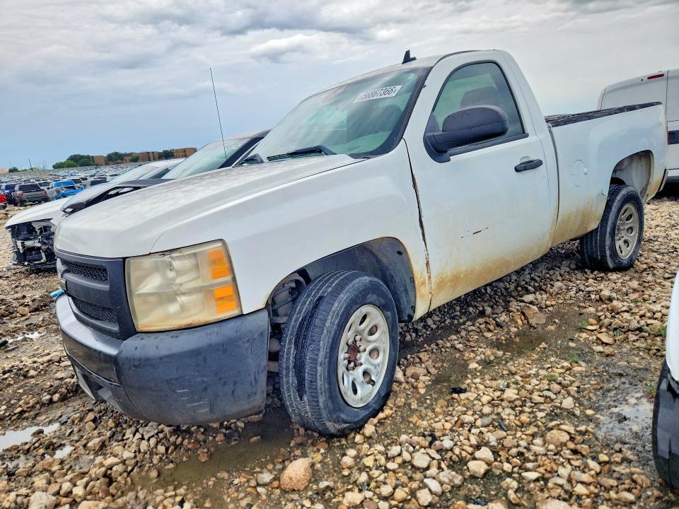 2008 Chevrolet Silverado მანქანა იყიდება აუქციონზე, vin: 1GCEC14XX8Z130501, აუქციონის ნომერი: 56867366