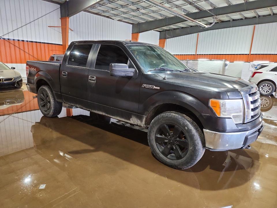 Продаж на аукціоні авто 2010 Ford F150, vin: 1FTFW1EV7AFD34561, номер лоту: 55973666