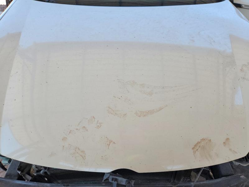 55804886 :رقم المزاد ، WVWFV71K38W084702 vin ، 2008 Volkswagen Gti مزاد بيع