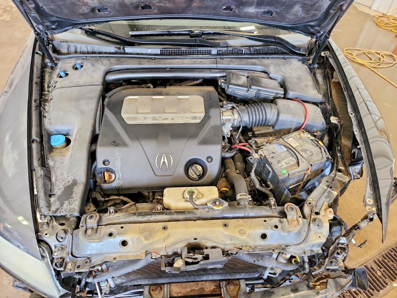 2007 Acura Tl მანქანა იყიდება აუქციონზე, vin: 19UUA66227A011372, აუქციონის ნომერი: 55566166