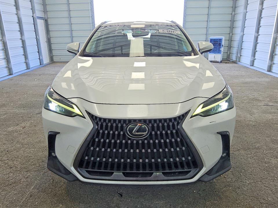 Продажа на аукционе авто 2022 Lexus Nx, vin: 2T2ADCAZ1NC001559, номер лота: 53017776
