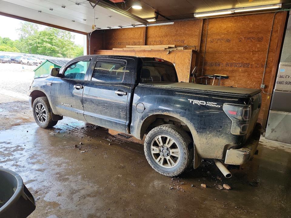 Aukcja sprzedaży 2008 Toyota Tundra, vin: 5TBDV54168S515685, numer aukcji: 58789326