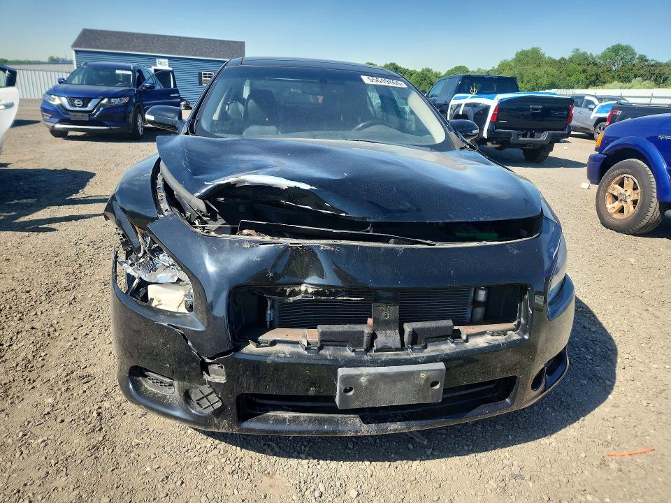 55649666 :رقم المزاد ، 1N4AA5AP2AC853323 vin ، 2010 Nissan Maxima مزاد بيع