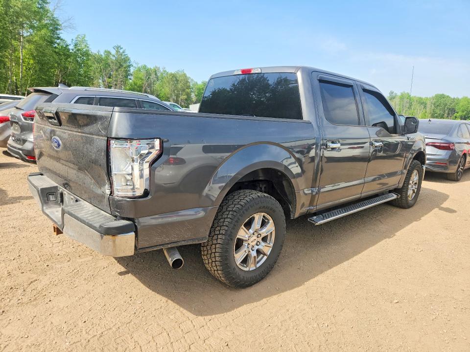 54393736 :رقم المزاد ، 1FTEW1EF7GFA73901 vin ، 2016 Ford F150 مزاد بيع