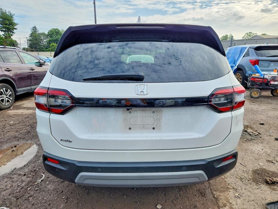 Продаж на аукціоні авто 2025 Honda Pilot, vin: 5FNYG1H47SB116327, номер лоту: 57148096