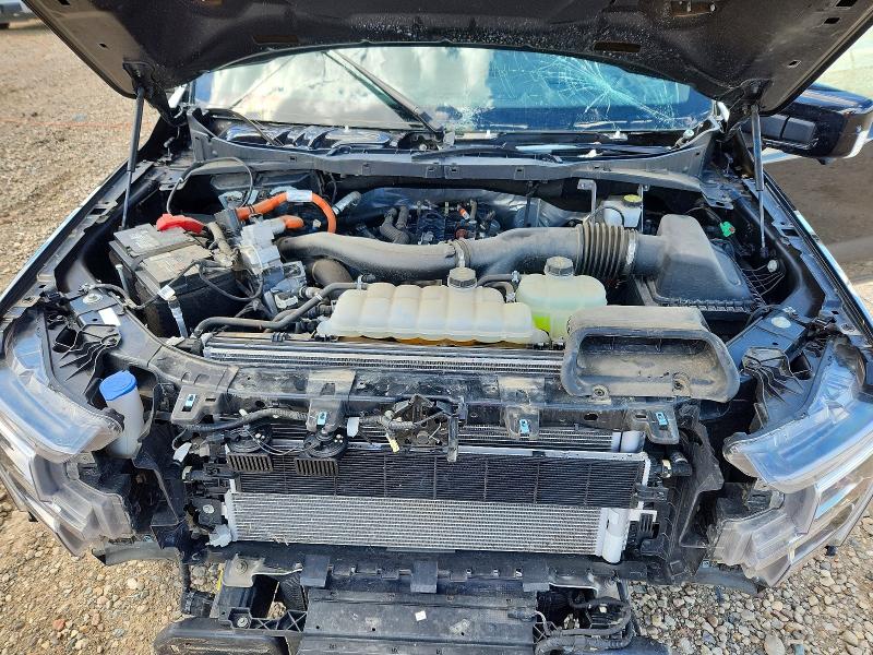 2024 Ford F150 მანქანა იყიდება აუქციონზე, vin: 1FTFW6LD7RFC12964, აუქციონის ნომერი: 56530036