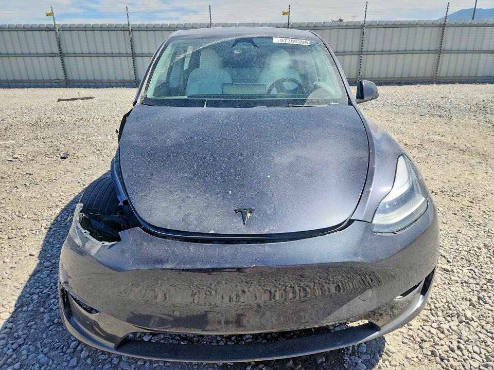 Продажа на аукционе авто 2024 Tesla Model Y, vin: 7SAYGDEE0RF099575, номер лота: 57700396