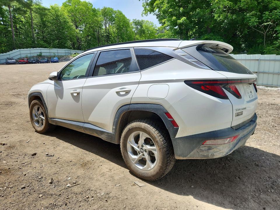 Продажа на аукционе авто 2024 Hyundai Tucson, vin: 5NMJBCDE1RH297184, номер лота: 55415266