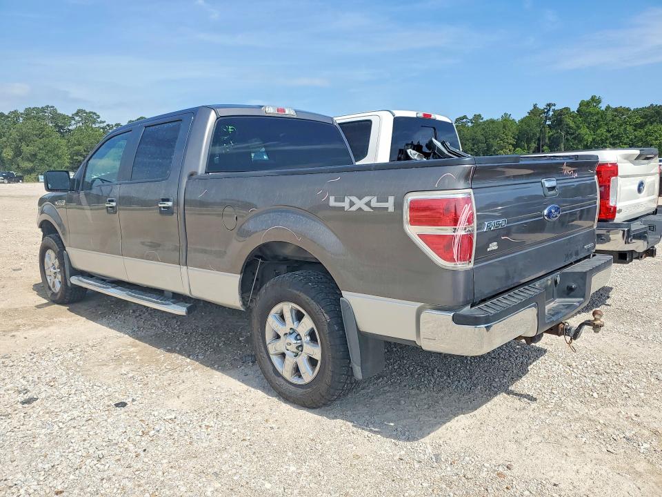 55537976 :رقم المزاد ، 1FTFW1EF9EFA42599 vin ، 2014 Ford F150 مزاد بيع