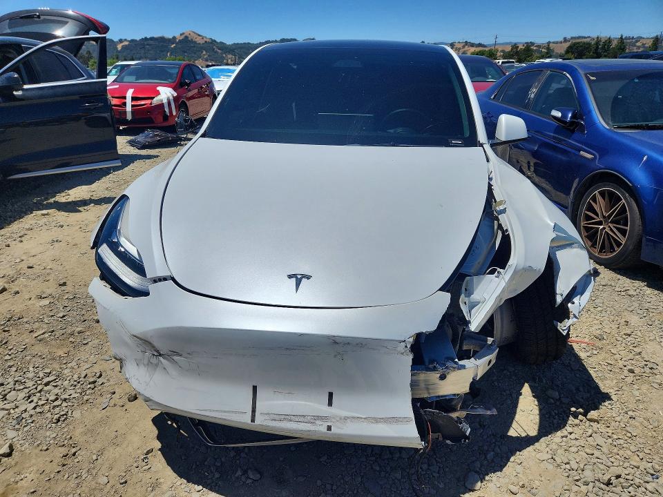 Продаж на аукціоні авто 2023 Tesla Model Y, vin: 7SAYGDEE2PA077507, номер лоту: 56152616