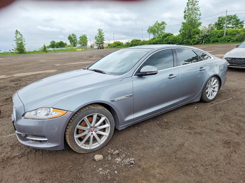59048646 :رقم المزاد ، SAJXJ1CD7F8V81170 vin ، 2015 Jaguar Xj مزاد بيع