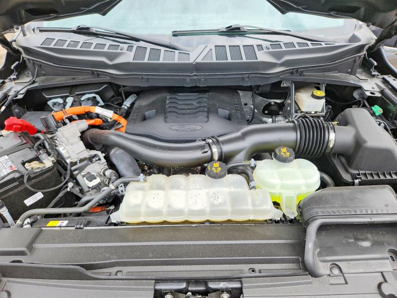 2023 Ford F150 მანქანა იყიდება აუქციონზე, vin: 1FTFW1ED3PFC46302, აუქციონის ნომერი: 58054366