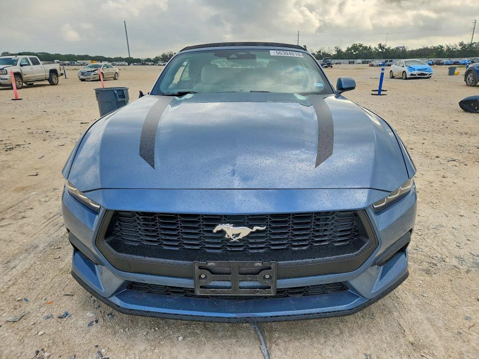 Продаж на аукціоні авто 2024 Ford Mustang, vin: 1FAGP8UH1R5144770, номер лоту: 56304016