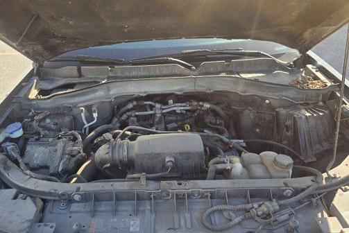 55846586 :رقم المزاد ، 1FMSK8DHXNGB27446 vin ، 2022 Ford Explorer مزاد بيع