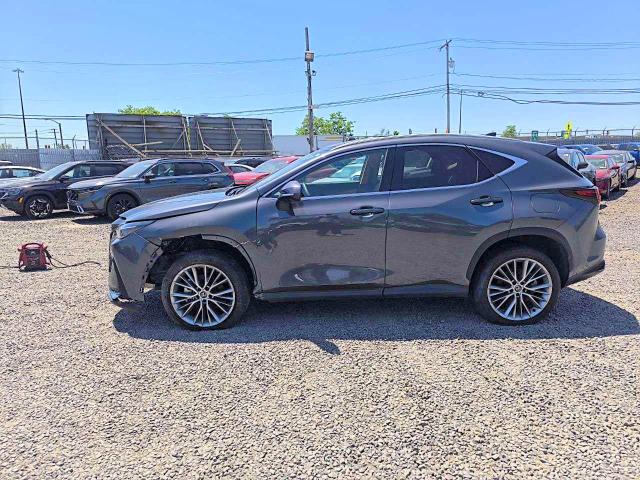 2024 Lexus Nx მანქანა იყიდება აუქციონზე, vin: 2T2HGCEZ6RC047359, აუქციონის ნომერი: 56097476