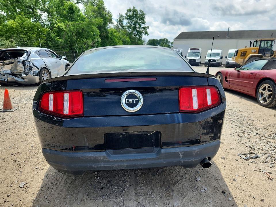 Продаж на аукціоні авто 2010 Ford Mustang, vin: 1ZVBP8AN4A5163183, номер лоту: 56689406