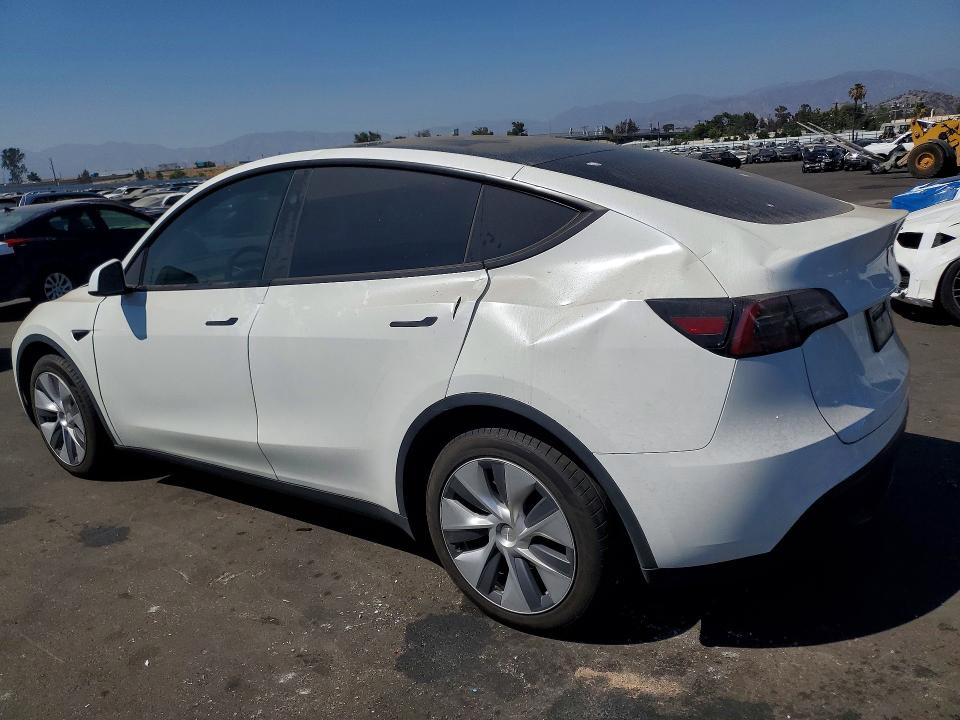 Продажа на аукционе авто 2023 Tesla Model Y, vin: 7SAYGDEE1PA164380, номер лота: 59003816