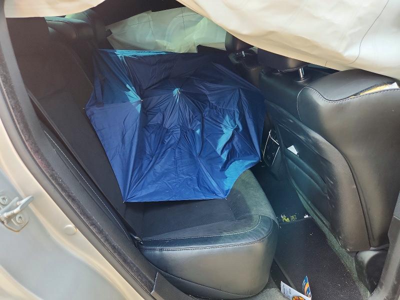 2020 Dodge Charger მანქანა იყიდება აუქციონზე, vin: 2C3CDXGJ1LH192204, აუქციონის ნომერი: 59008846