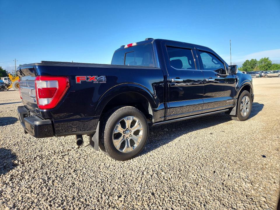 58393116 :رقم المزاد ، 1FTFW1ED7MFB13425 vin ، 2021 Ford F150 مزاد بيع