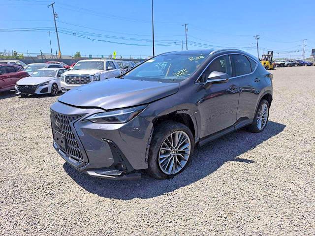 2024 Lexus Nx მანქანა იყიდება აუქციონზე, vin: 2T2HGCEZ6RC047359, აუქციონის ნომერი: 56097476