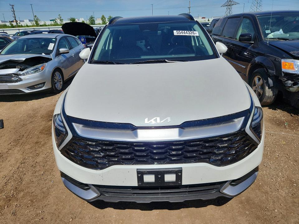 Продаж на аукціоні авто 2025 Kia Sportage, vin: KNDPVCDG1S7251449, номер лоту: 55444326