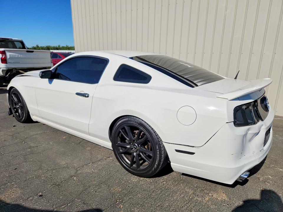 56186186 :رقم المزاد ، 1ZVBP8AM2D5227233 vin ، 2013 Ford Mustang مزاد بيع