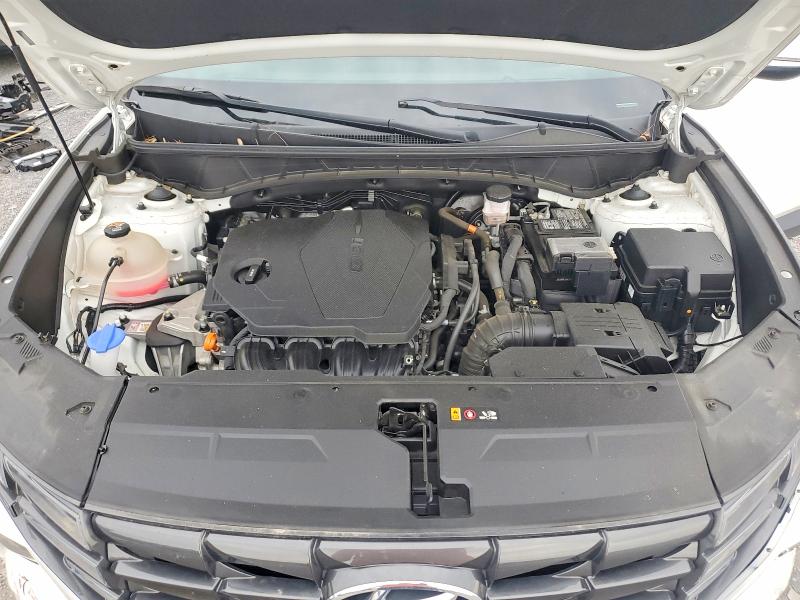 2023 Hyundai Tucson მანქანა იყიდება აუქციონზე, vin: 5NMJB3AE0PH228553, აუქციონის ნომერი: 58446046