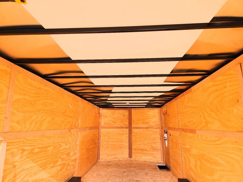 Продаж на аукціоні авто 2025 Interstate Unknown, vin: 4RAVS2021SG017829, номер лоту: 53599986