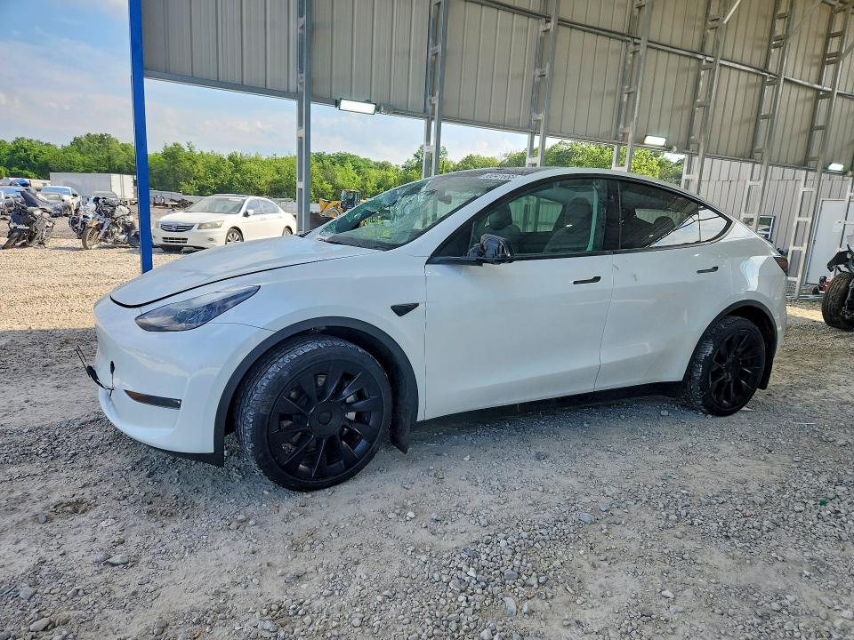Продаж на аукціоні авто 2023 Tesla Model Y, vin: 7SAYGDEE3PA207780, номер лоту: 56041666